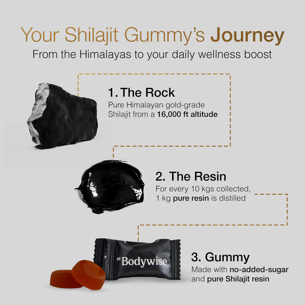 Be Bodywise Pure Himalayan Shilajit Gummies